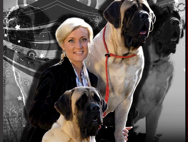 МАСТИФ, АНГЛИЙСКИЙ МАСТИФ - ПИТОМНИК МАСТИФ ХИЛЛ