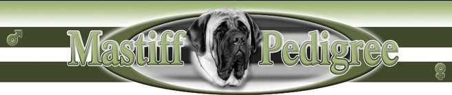 МАСТИФ, АНГЛИЙСКИЙ МАСТИФ - ПИТОМНИК МАСТИФ ХИЛЛ